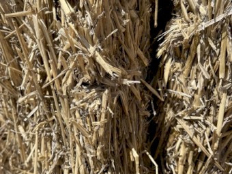 1500mt Windrowed Wheaten Straw 8x4x3 Bales