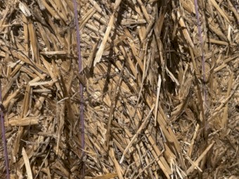 1500t Windrowed Wheat Straw