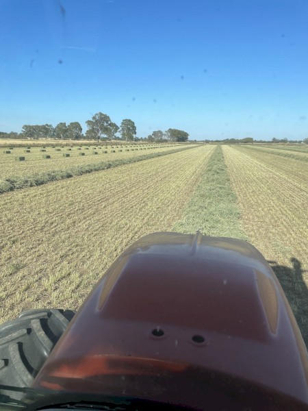 WANTED New Season Hay Direct from Paddock