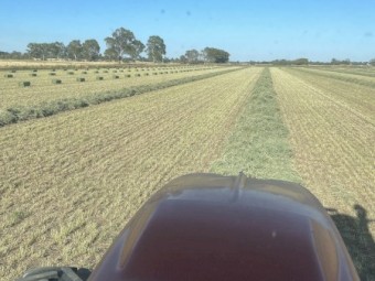 WANTED New Season Hay Direct from Paddock