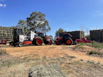 WANTED New Season Hay Direct from Paddock