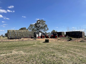 WANTED New Season Hay Direct from Paddock