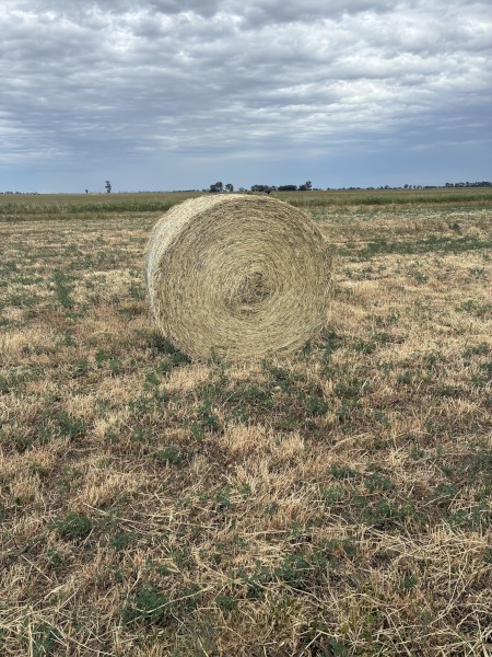 Rye/ Lucerne/ clover hay