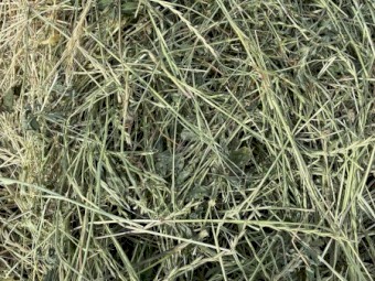 Rye/ Lucerne/ clover hay