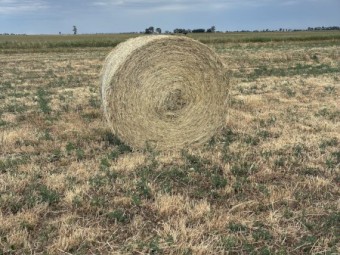 Rye/ Lucerne/ clover hay