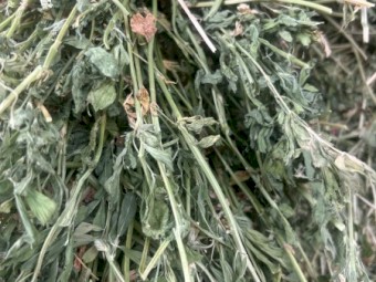 80mt Lucerne Hay 8x4x3 Bales