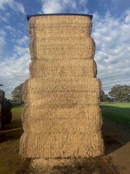 60mt Vetch Hay 500kg 8x4x3 Bales