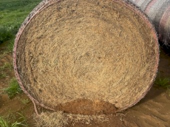 60mt Vetch Hay 500kg 8x4x3 Bales