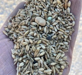 30mt Mixed Grain