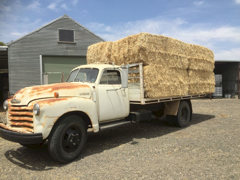 1952 Chev Maple Leaf