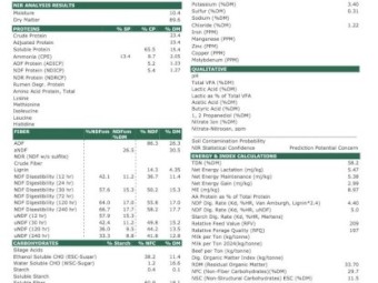 260mt Vetch Hay 700kg 8x4x3 Bales