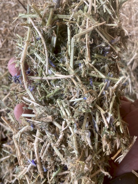 115mt Vetch Hay 8x4x3 Bales