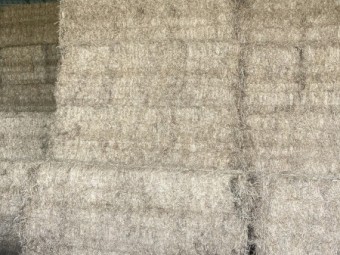 115mt Vetch Hay 8x4x3 Bales