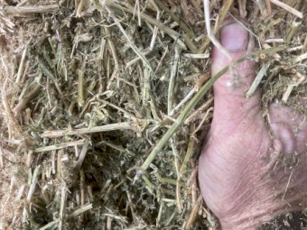 115mt Vetch Hay 8x4x3 Bales