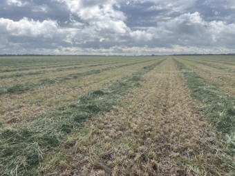 400mt Barley Vetch Hay 8x4x3 Bales