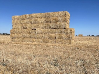 Barley straw tailings
