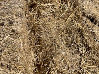 Barley straw tailings