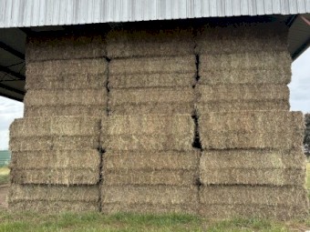 25/26 Vetch Hay