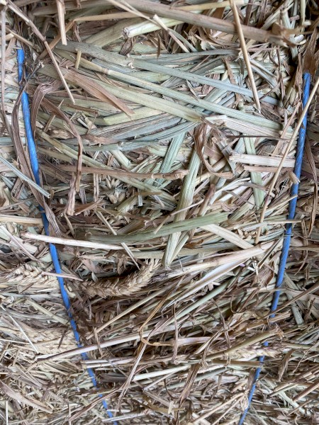 180mt Beardless Wheaten Hay 8x4x3 Bales