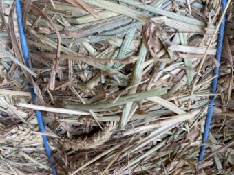 180mt Beardless Wheaten Hay 8x4x3 Bales