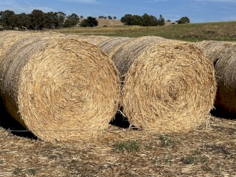 230mt Oaten Hay 6x4 Round Bales (New Season 22/23)