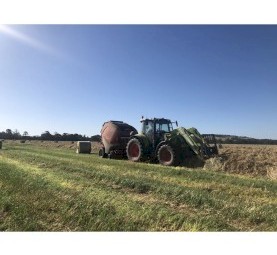 Annual Ryegrass Hay 