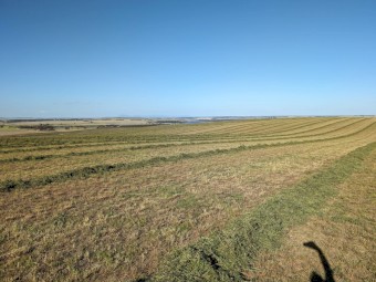 Beautiful 2nd cut Lucerne small sqaures