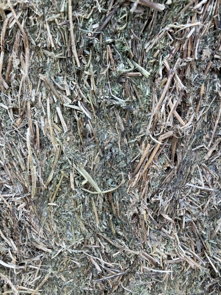 100mt Vetch Hay 500kg 8x4x3 Bales