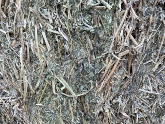 100mt Vetch Hay 500kg 8x4x3 Bales