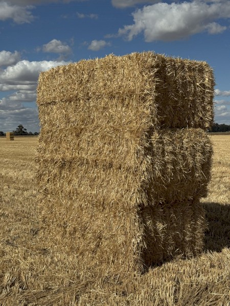 500mt Wheaten Straw 8x4x3 Bales