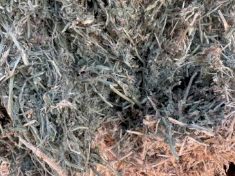 120mt Vetch Hay 650kg 8x4x3 Bales