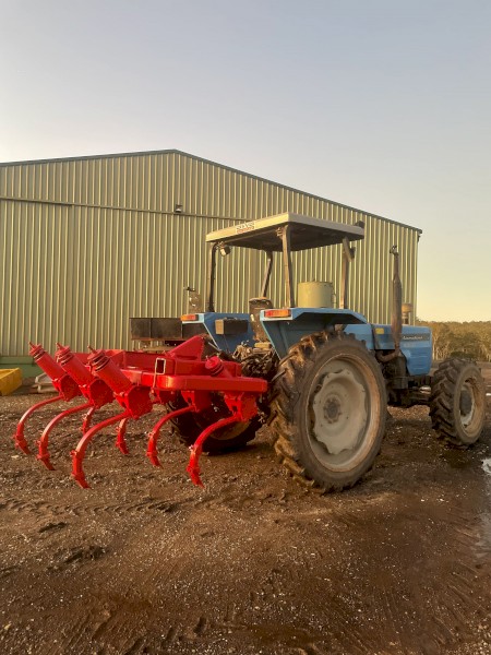 HEAVY DUTY MF chisel plough ripper 