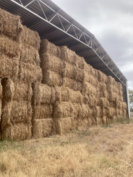 Oaten Hay 8x4x3 Bales