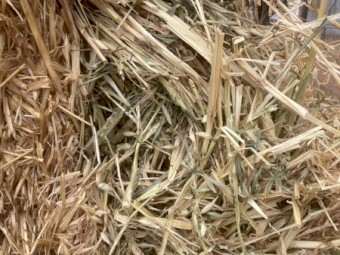Oaten Hay 8x4x3 Bales