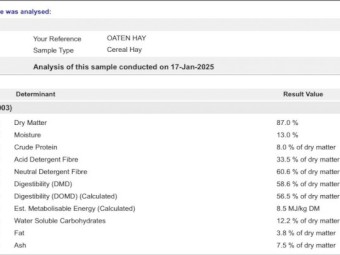 Oaten Hay 8x4x3 Bales