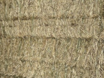 200mt Oaten Hay 8x4x3 Bales