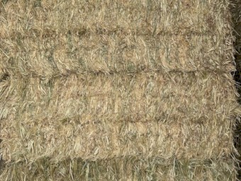 200mt Oaten Hay 8x4x3 Bales