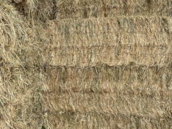 200mt Oaten Hay 8x4x3 Bales
