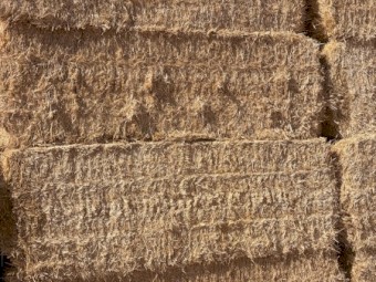 300mt Barley Straw 540kg 8x4x3 Bales