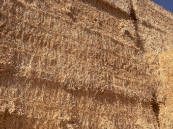 300mt Barley Straw 540kg 8x4x3 Bales