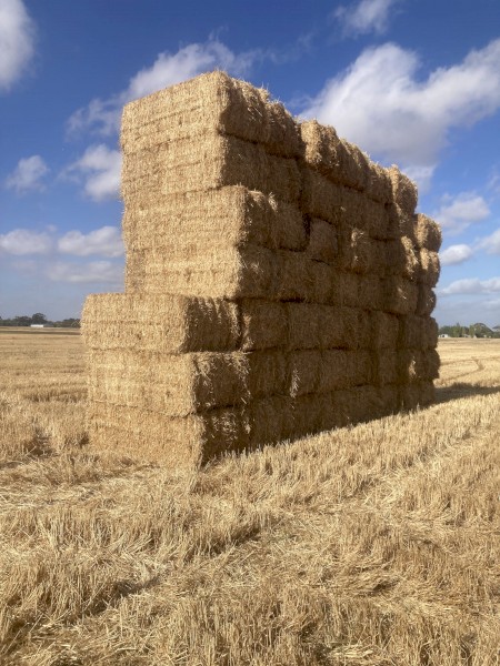 50mt Wheat Straw 500kg 8x4x3 Bales