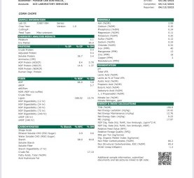 Corn Chips for Stockfeed