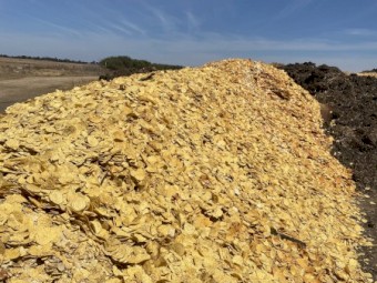 Corn Chips for Stockfeed