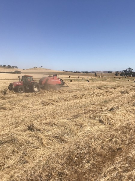 Massey Ferguson 2190 Baler