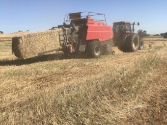 Massey Ferguson 2190 Baler
