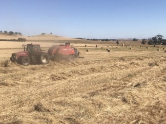 Massey Ferguson 2190 Baler