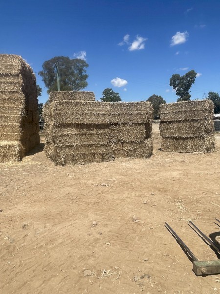 straw tailings 8x4x3