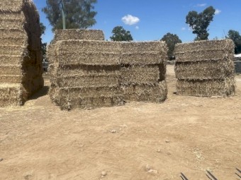 straw tailings 8x4x3