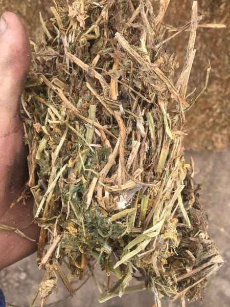 500mt Vetch Hay 625kg 8x4x3 Bales