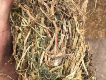 500mt Vetch Hay 625kg 8x4x3 Bales